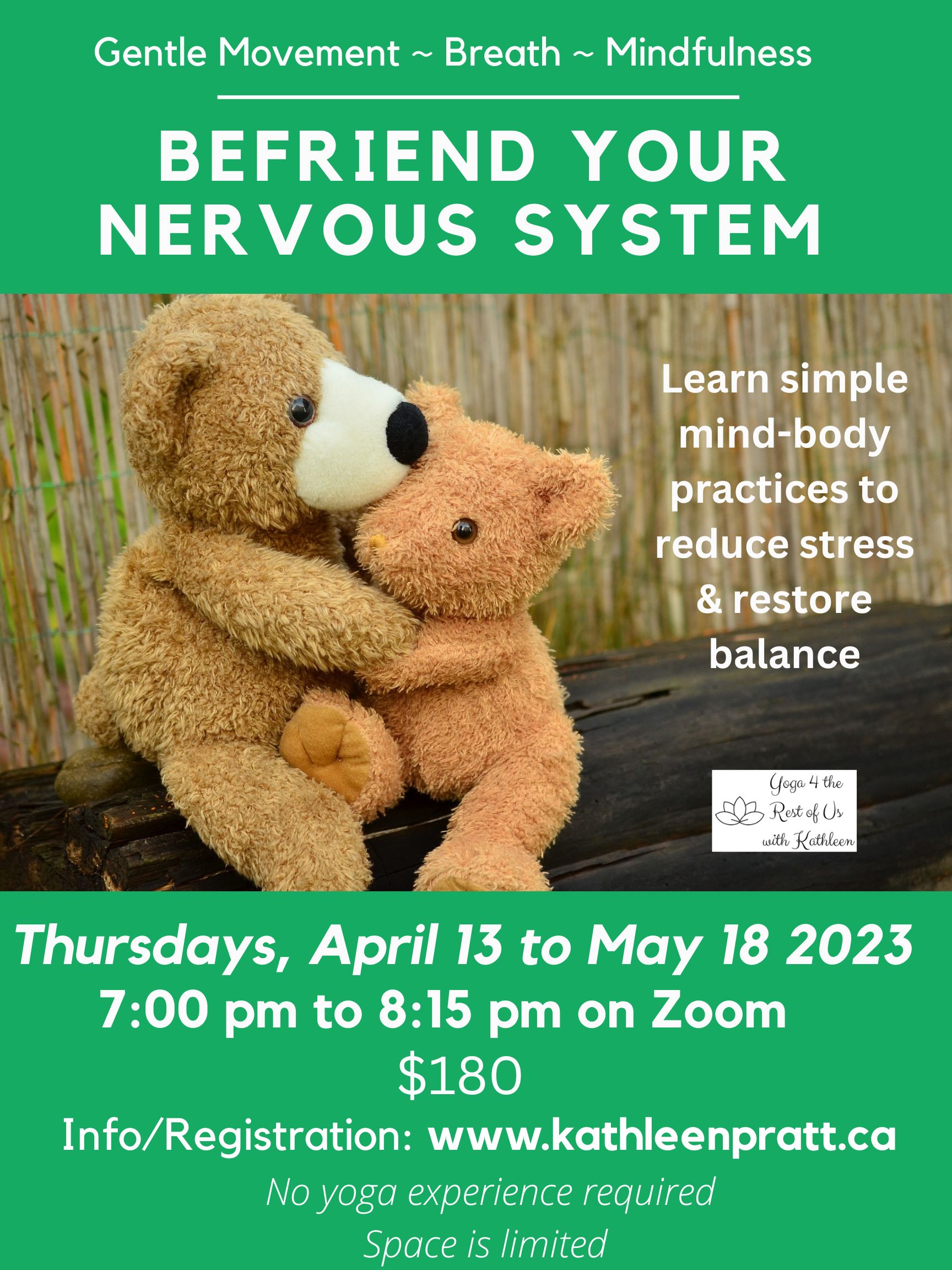 Befriend Your Nervous System revised poster
