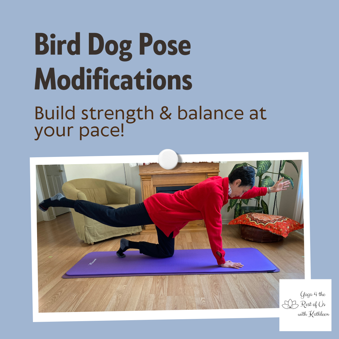 Bird Dog Pose Modifications